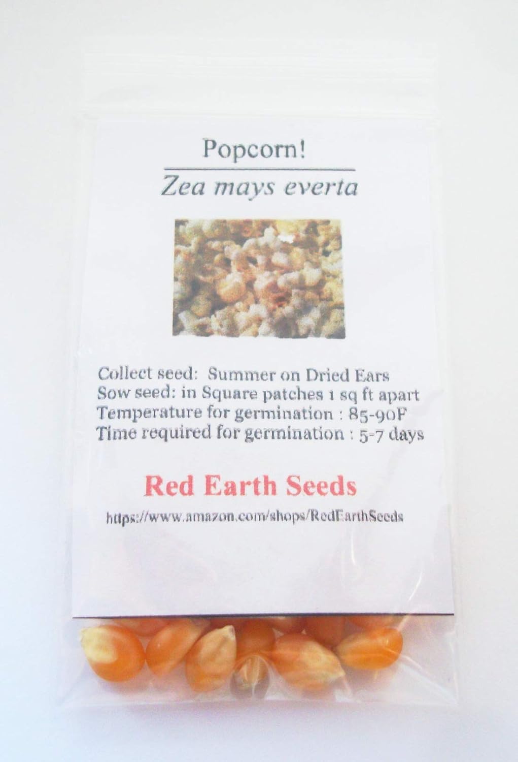 Plants, Seeds & Bulbs Fast and Easy to Grow Popping Corn Seeds Zea mays
