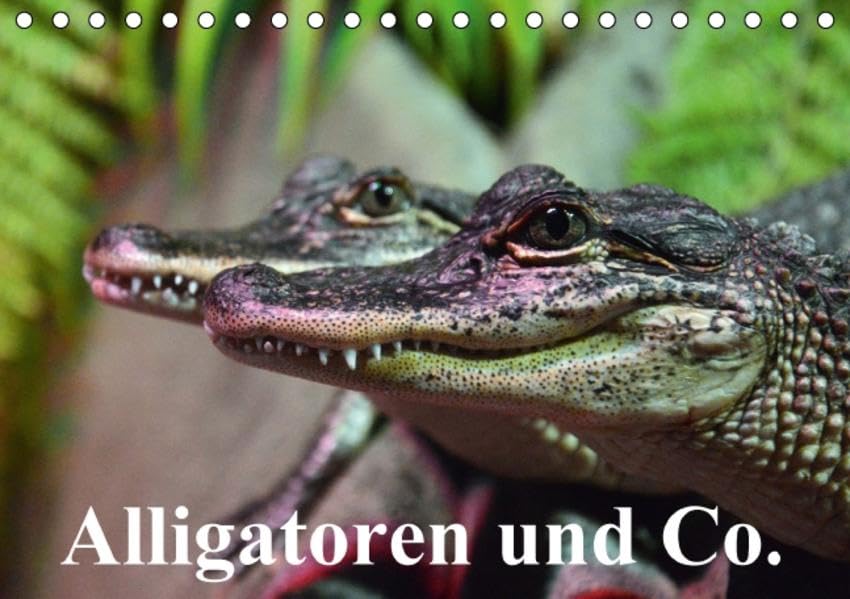 Alligatoren und Co. (Tischkalender 2016 DIN A5 quer): Die intelligentesten und größten Ur-Echsen unserer Erde (Monatskalender, 14 Seiten ) (CALVENDO Tiere)