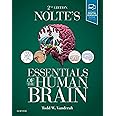 Nolte's Essentials of the Human Brain: With STUDENT CONSULT Online Access
