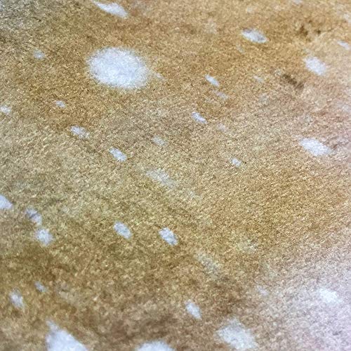 MSOO Floor Entrance Door Bathroom Mat Indoor Bathtub Carpet Doormats Decor - Thumbnail 2