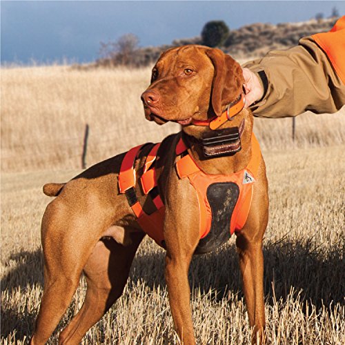 Browning Dog Protection Vest Dog Hunting Vest, Safety Orange, Medium eBay