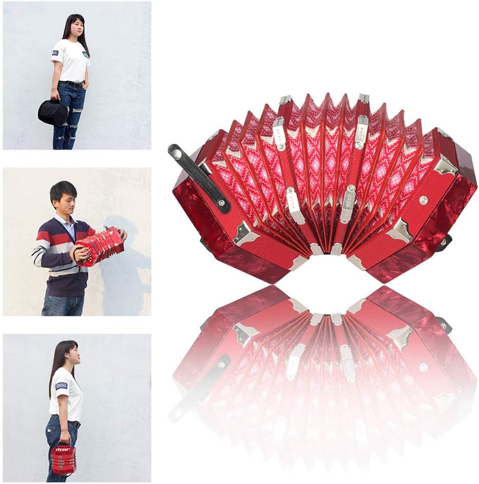 Meiyiu 20-Button Concertina with Carrying Bag Adult Primary Professional Playing Hexagon Accordion
