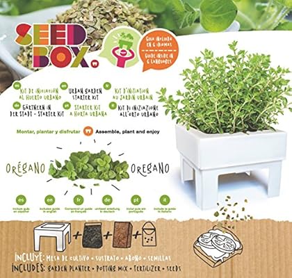 SeedBox SBMCUOR-Huerto Urbano Cultívame Mini-orégano, 17x4x17 cm ...