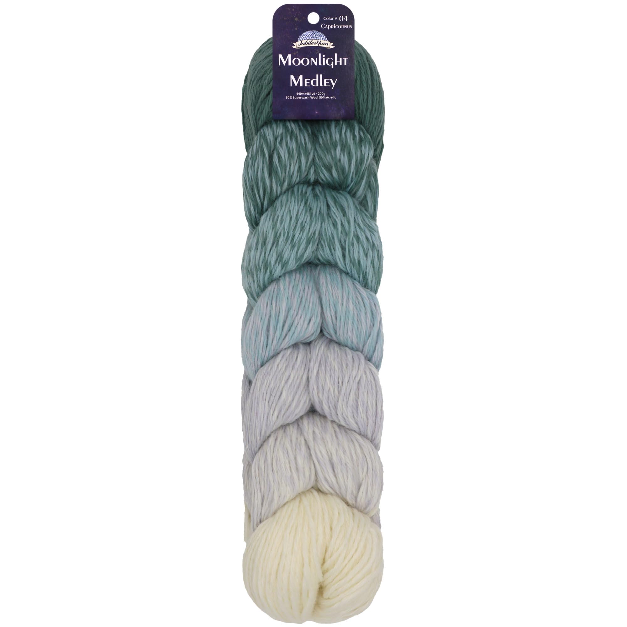 JubileeYarn Moonlight Medley Yarn - Ombre DK Weight Merino Wool/Acrylic - 200g/Hank - Pisces - 1 Skein