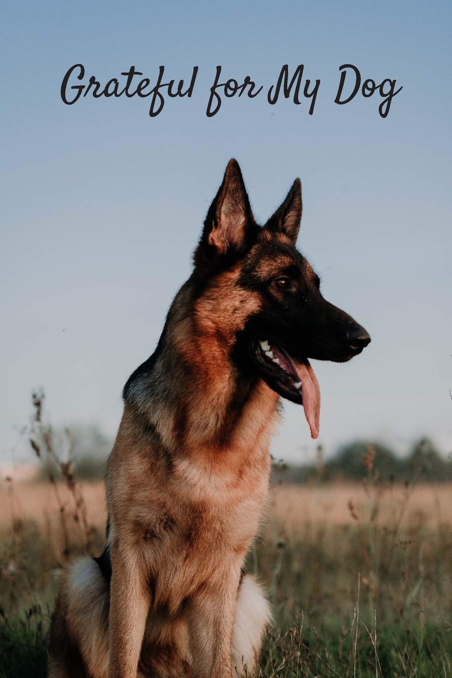 Grateful For My Dog 31 Days Of Gratitude Journaling About My Dog German Shepherd Cover Labs Faye S 9781701482814 Amazon Com Books