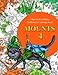 Mounts 4: Halloween coloring book (Volume 4) by Olga Goloveshkina