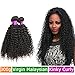 FeiBin Malaysian Curly Virgin Hair 3 Bundles 16