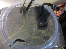 elite mini underwater filter