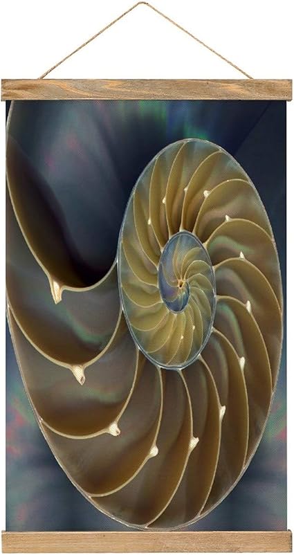 Amazon Co Jp 驚くべきオウムガイの絵 リネンキャンバスハンギングポスター壁アート絵画家の装飾タペストリー寝室のリビングルームオフィス52x33 54cm ホーム キッチン