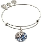 Alex and Ani Jersey Shore Bangle, Silver