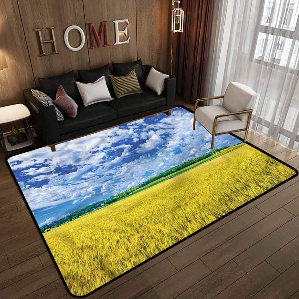 United States Area Rug Rectangular Modern Pattern Wheat Farm USA Kansas 6 x 9 Feet