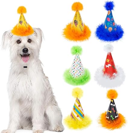 Dog party accessories Clearance