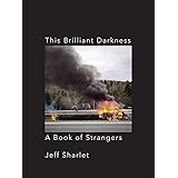 This Brilliant Darkness: A Book of Strangers