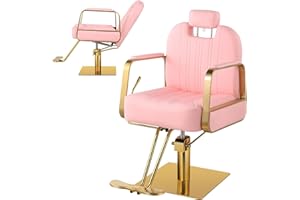 Hicomony Pink Salon Chair for Hair Stylist, Barber Chair Hair Chair for Home Barbershop Recling, Stylist Chair Hydraulic Pump with 360° Rotation,130° Recline,All Purpose Salon Equipment