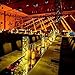 Ougilay LED Decorative Lights String Copper Waterproof Outdoor Party String lights Indoor Room Garden Waterproof USB Powered With Remote Control