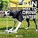 GoodBoy Water Fountain for Dogs – Interactive Paw Pedal Design Stimulates Pets and Keeps Them Cool – New Durable Leak-Proof Dispenser – Keeps Furry Friends Healthy Happy and Hydrated!