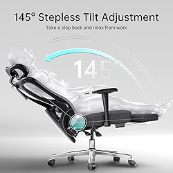 Hbada P3 Ergonnomic Office Chair with 2D Adjustable