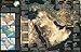 Iraq and the Heart of the Middle East Wall Map (tubed) (Reference - Countries & Regions) by 
