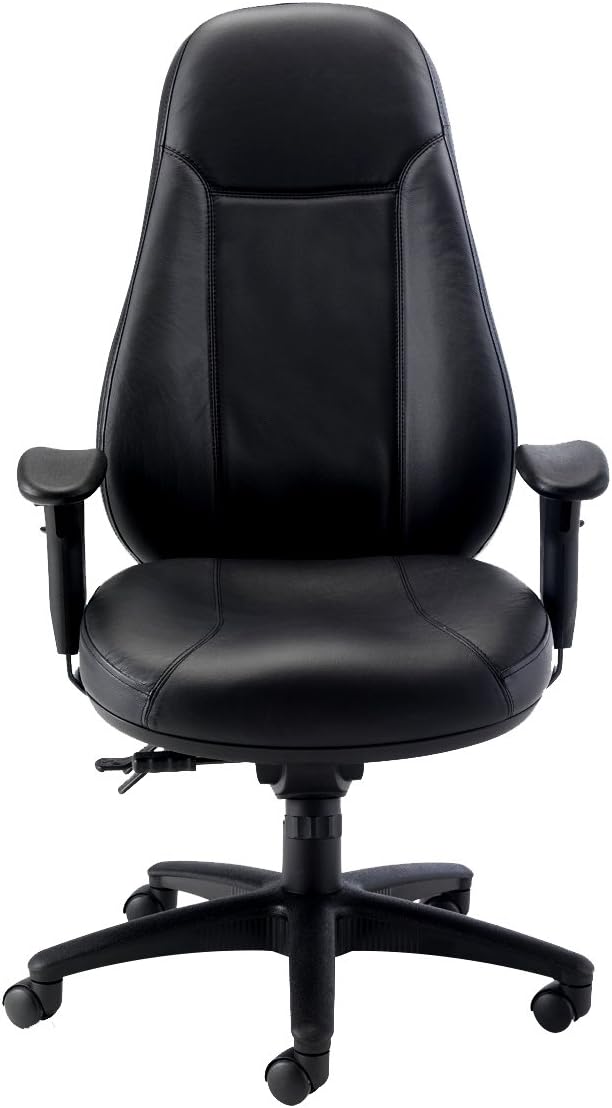 Office Hippo Desk Chair, Ergonomic Heavy Duty Office Chair,Highly Adjustable For Extra Comfort & 24 Hour Daily Use - Image 3