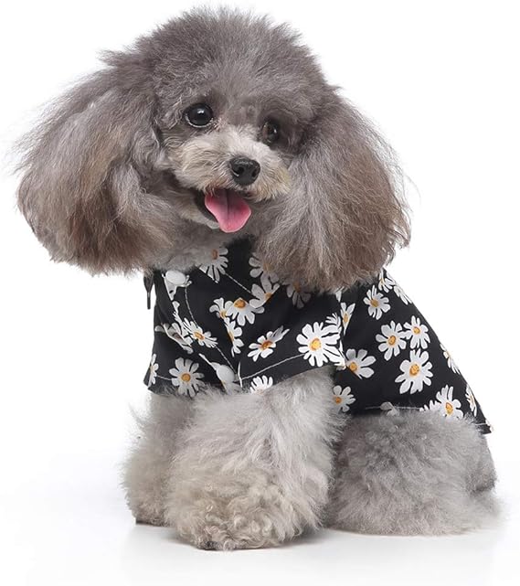 Amazon Co Jp 可愛い ペット犬服 Tengatel ハワイ リゾート風 Tシャツ 柔らかい サンゴフリース 防寒 コート 人気 ファッション小型犬 中型犬 春秋冬服 お散歩お出かけウェアに 服 ファッション小物