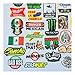 ESKONI MEXICAN CHINGON Hard Hat Stickers 40 MEXICO HardHat Sticker Pegatinas cascos