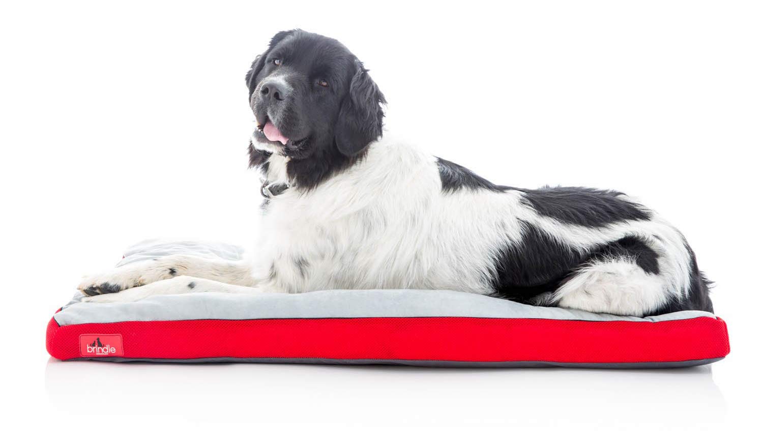 Brindle Shredded Memory Foam Dog Bed with Removable Washable Cover-Plush  Orthopedic Pet Bed