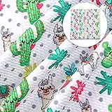 David Angie Cactus Sheep Pattern Bullet Textured