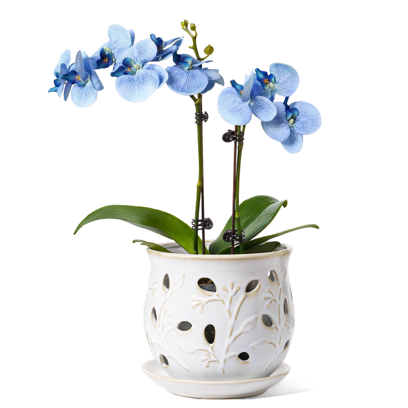 Photo 1 of LE TAUCI Ceramic Orchid Pot, 6.5 Inch Orchid Planter with Holes for Repotting, Indoor Flower Plant Pot with Drainage and Saucer, Arctic White