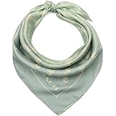 COACH womens Horse and Carriage Ombre Printed Silk Square