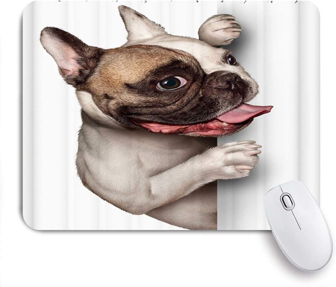 french bulldog desk accessories
