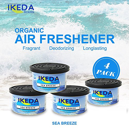 Ikeda Odor Eliminator Scents Organic Block Natural Air Freshener 2DAY