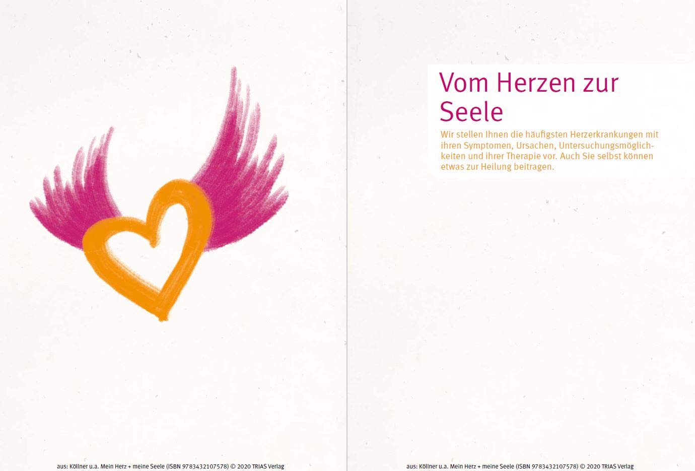 Mein Herz Meine Seele Das Zusammenspiel Von Psyche Und Herz Spannende Einblicke In Die Psychokardiologie Kollner Volker Langheim Eike Kleinschmidt Judit Amazon De Bucher