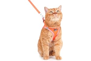 Rttochfy Cat Harness and Leash Set, Escape Proof Kitten Harness, Soft and Breathable Vest with Reflective Strip, Easy to Wear for Cats Walking and Traveling (Orange, L)