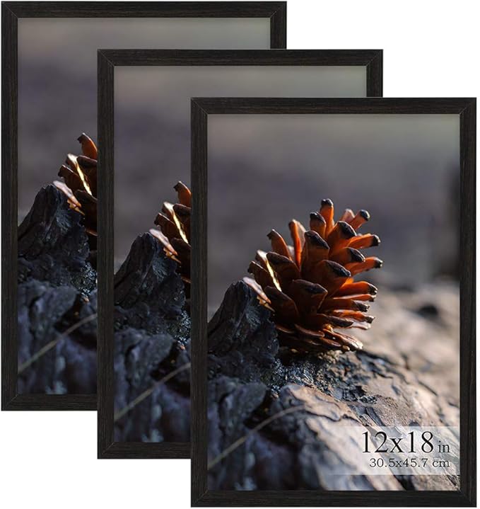 DDaoty Picture Frames 12x18 Set of 2 Pack Poster Frames
