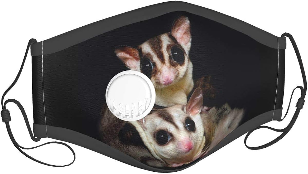 BHSBC.L Cute Sugar Glider Washable Face Cover with Valve & Filter, Face