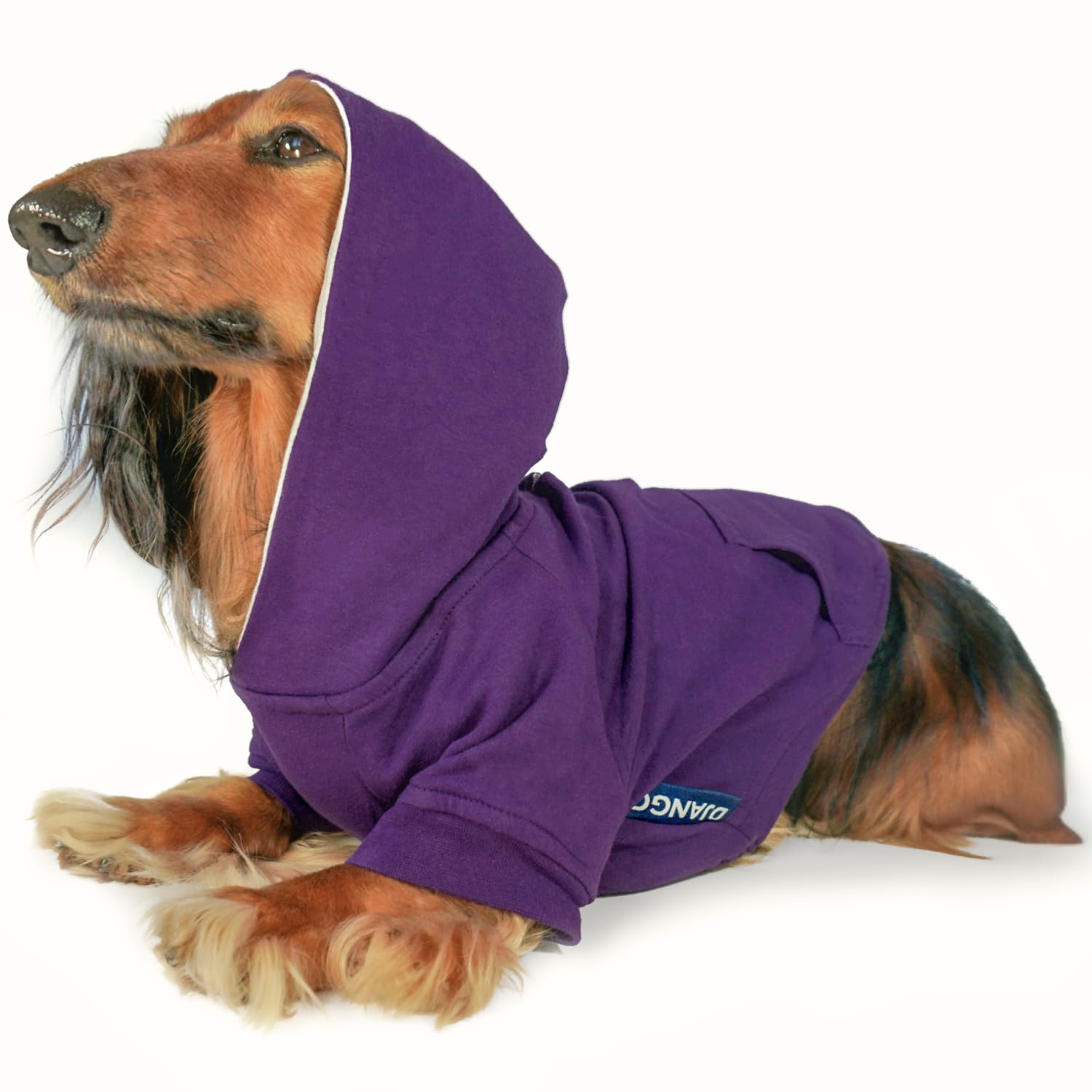 DJANGO Fully Lined Hoodie for Dog - Soft, Stretchy, and Cozy Sweatshirts for Dogs - Royal Purple Winter Dog Sweaters for Dachshunds and Small Dogs - Warm Dog Hoodie Medium with Elastic Waistband