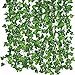 Bird Fiy 84 Ft Fake Ivy Silk Vines Hanging Plants Artificial Flowers Garland Greenery for Wedding Party Decorations DIY Floor Garden Office/Pack of 12