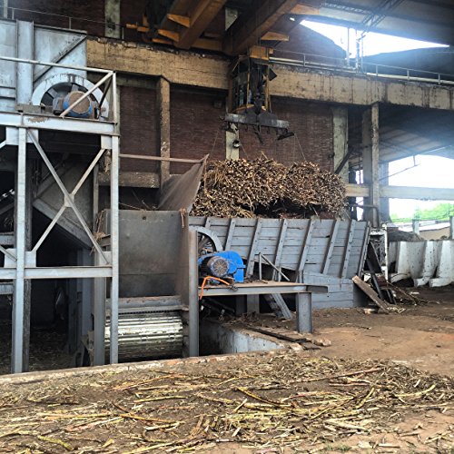 6 Premium+Organic+Molasses