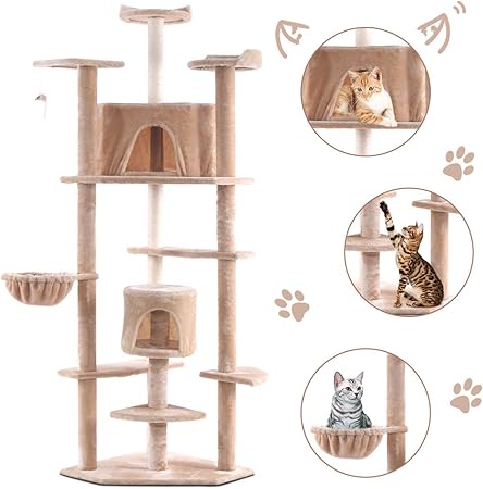 kitty condo amazon