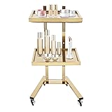 2-Tier Metal Salon Rolling Cart, Foldable Stainless