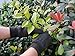 SEUROINT 100% Cotton Gloves with PVC Dots, Stretchable knit wrist Breathable Sure-Grip Work, gardening Gloves, Non slip 6 Pairs per pack, Brown
