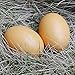MasterPro Wooden Fake Eggs-6 pieces