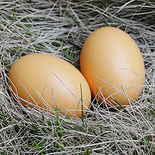 GREEN FABWOOD Wooden Fake Eggs-6Piece