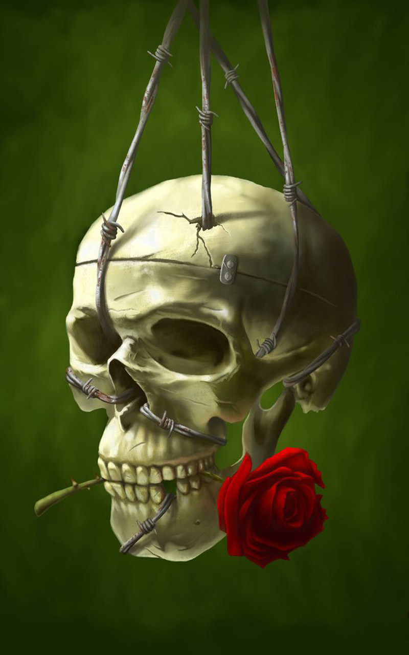 Amazon.com: Skulls Live Wallpaper: Appstore for Android
