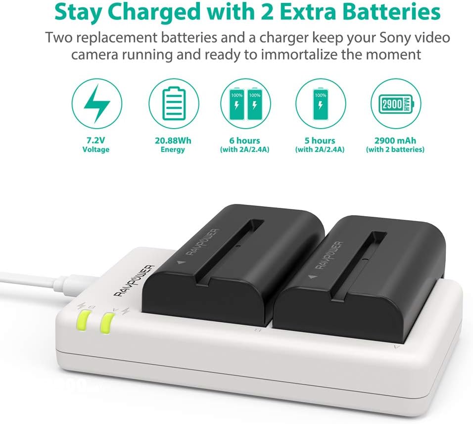 NP-F550 RAVPower Battery Charger for Sony NP F970, F750, F770, F960, F550, F530, F330, F570, CCD-SC55, TR516, TR716, TR818, TR910, TR917 and more (2-Pack Replacement Battery Kit, Dual Slot Charger): Camera & Photo