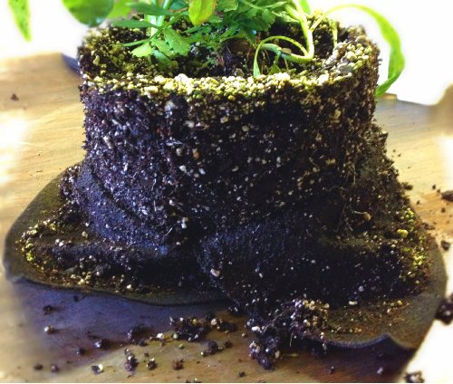 Smart Pots Soft-Sided Transplanter Plant Container, 1-Gallon, Black