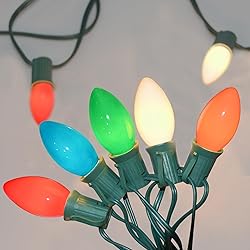 SUNSGNE 25Ft Christmas Lights Outdoor, C9