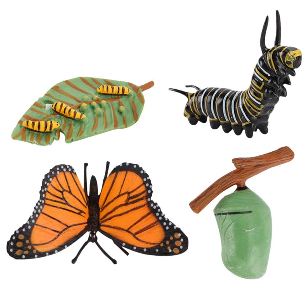 zalati Butterfly Growth Cycle Biological Model Figure Toys for Kids Educational Toys Teaching Tools