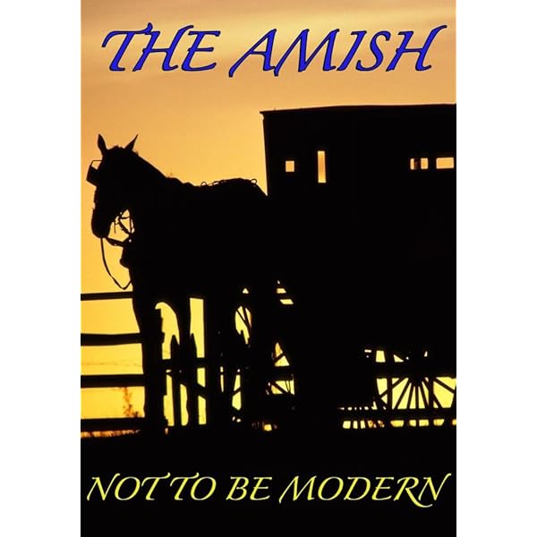 その他 Welcome to Amish America: The Series [DVD] Amazon.com: The Amish (American Experience) : David Belton