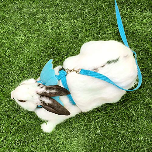FunPetLife Rabbit Harness and Leash Adjustable Angel Wing Style Bunny